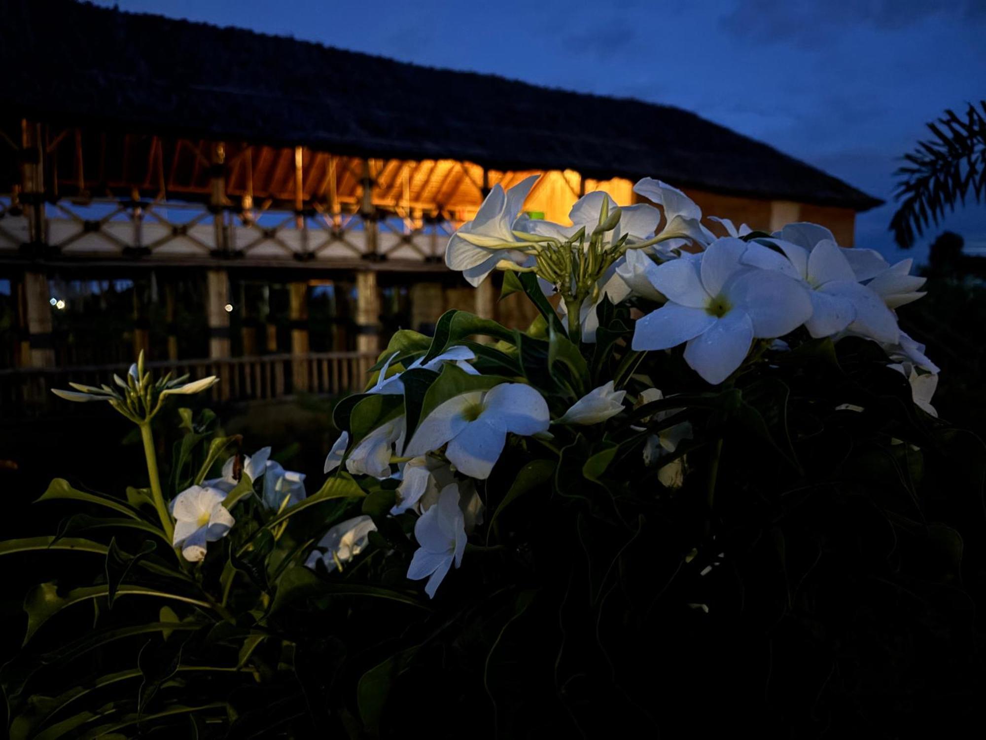 Mowgli'S Cafe Hampi & Guest House Kültér fotó
